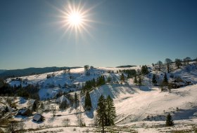 Phoca Thumb M Winter Im Schwarzwald 2306 2023 1400px